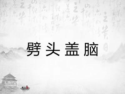 劈头盖脑 劈头盖脑