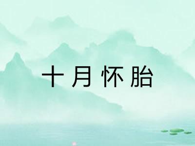 十月怀胎 十月怀胎