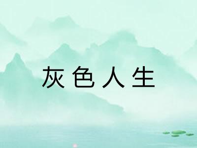 灰色人生 灰色人生