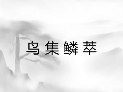 鸟集鳞萃 鸟集鳞萃