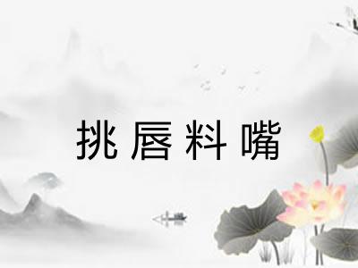 挑唇料嘴 挑唇料嘴