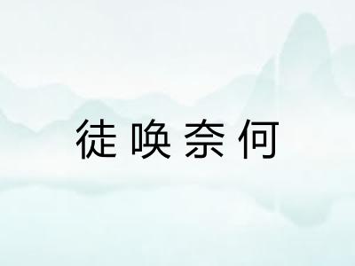 徒唤奈何
