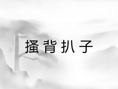 搔背扒子 搔背扒子