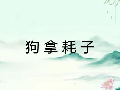 狗拿耗子 狗拿耗子