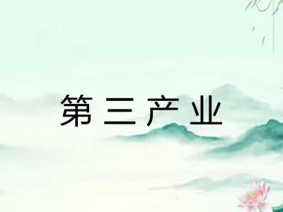 第三产业 第三产业