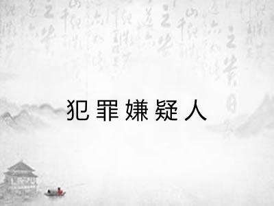 犯罪嫌疑人 犯罪嫌疑人