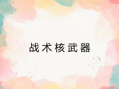 战术核武器 战术核武器