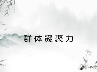 群体凝聚力