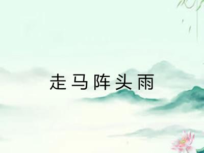 走马阵头雨 走马阵头雨