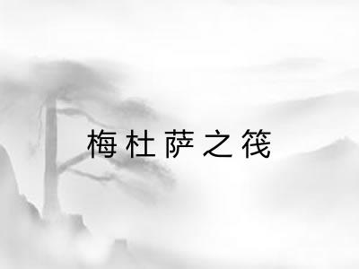 梅杜萨之筏 梅杜萨之筏