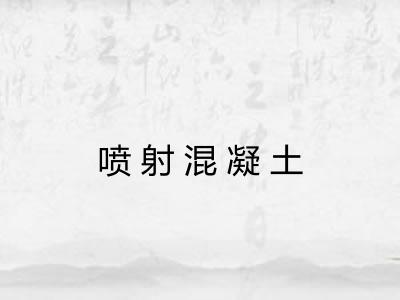 喷射混凝土 喷射混凝土