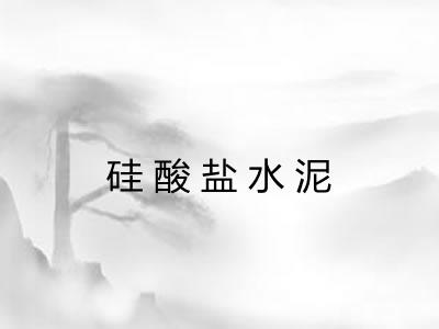 硅酸盐水泥 硅酸盐水泥