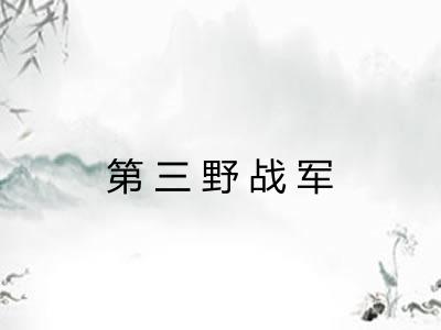 第三野战军 第三野战军