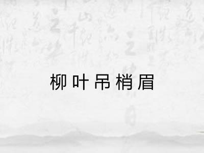 柳叶吊梢眉 柳叶吊梢眉