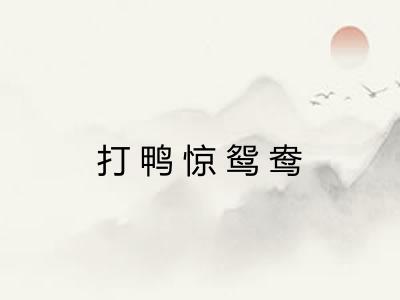 打鸭惊鸳鸯 打鸭惊鸳鸯