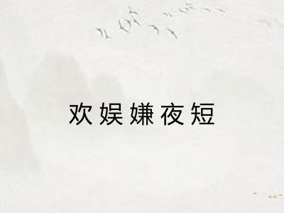 欢娱嫌夜短