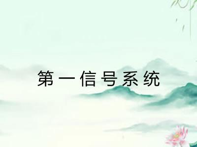第一信号系统