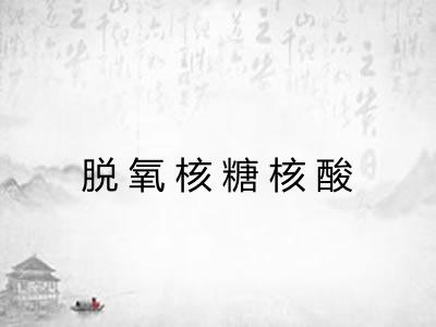 脱氧核糖核酸 脱氧核糖核酸