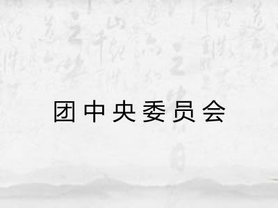 团中央委员会 团中央委员会