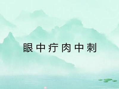 眼中疔肉中刺 眼中疔肉中刺