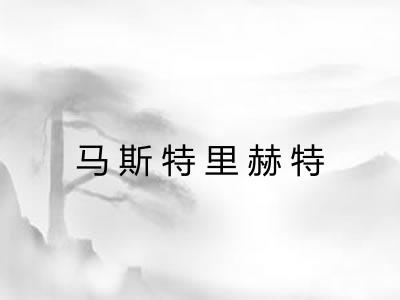 马斯特里赫特 马斯特里赫特