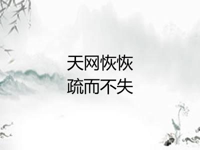 天网恢恢疏而不失