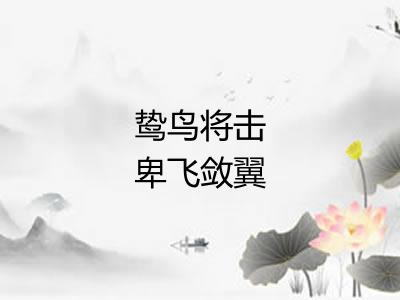 鸷鸟将击卑飞敛翼