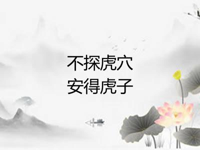 不探虎穴安得虎子