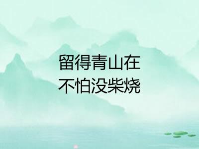 留得青山在不怕没柴烧 留得青山在不怕没柴烧