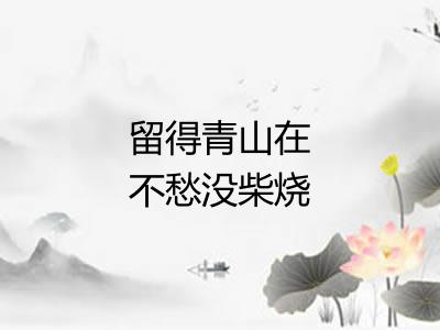 留得青山在不愁没柴烧 留得青山在不愁没柴烧