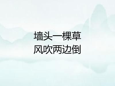 墙头一棵草风吹两边倒