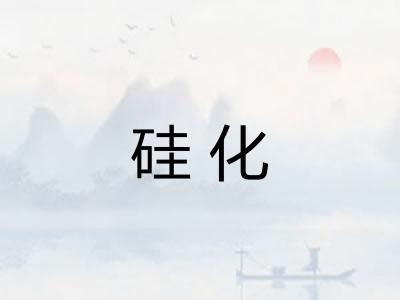 硅化