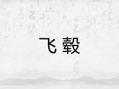 飞毂 飞毂
