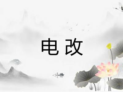 电改