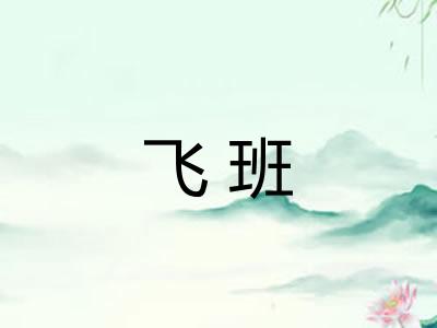 飞班 飞班