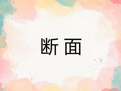 断面 断面
