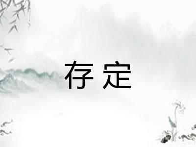存定
