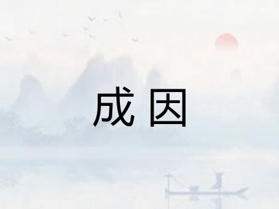 成因 成因