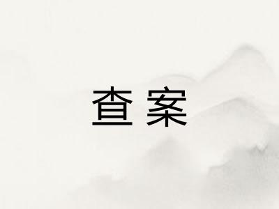 查案 查案
