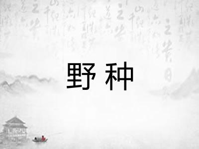 野种 野种