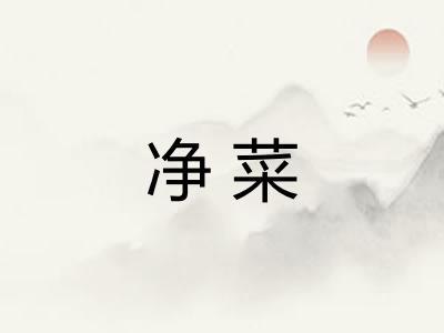 净菜 净菜