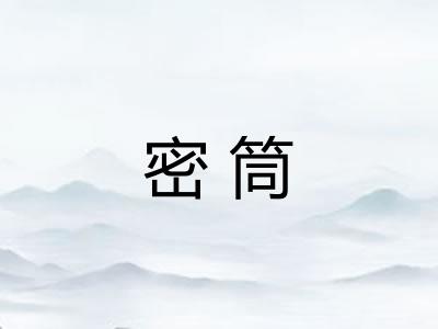 密筒
