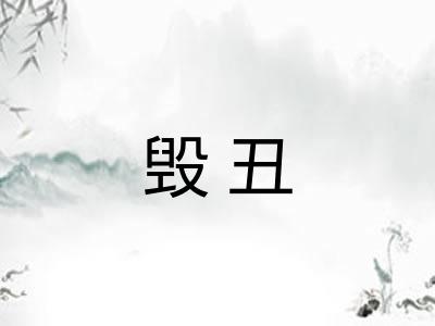 毁丑 毁丑