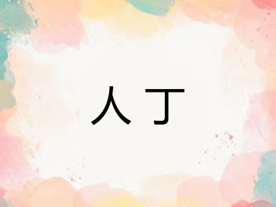 人丁 人丁