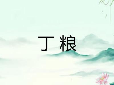 丁粮 丁粮