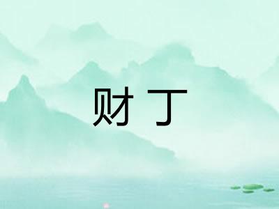 财丁