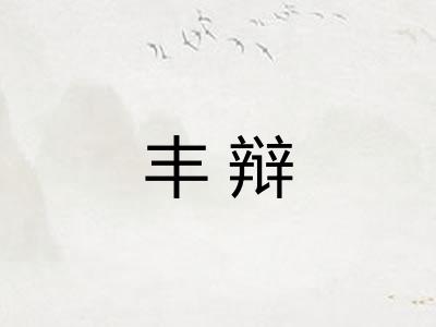 丰辩 丰辩
