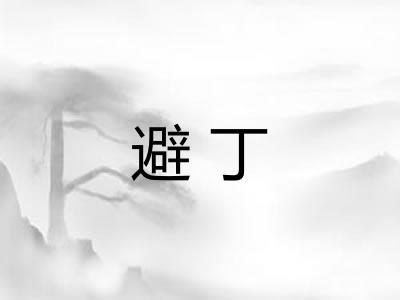 避丁