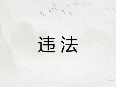违法 违法