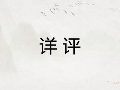 详评